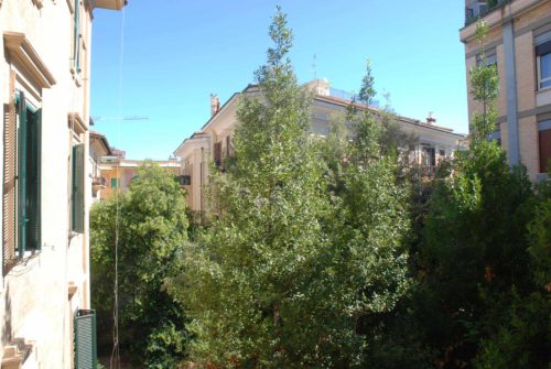 appartamento-affitto-roma-parioli-ad-piazza-verdi-1110-DSC_0488