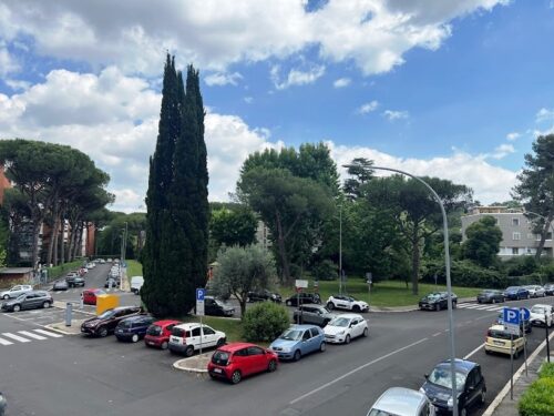 appartamento-affitto-roma-salario-prato-della-signora-1105-IMG_0369-1